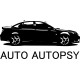 Auto Autopsy Decal GOLD
